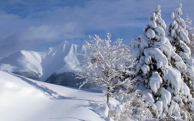 verschneite Winterlandschaft in Serfaus-Fiss-Ladis | © Serfaus-Fiss-Ladis/Tirol