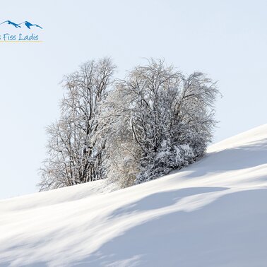 Winterlandschaft in Serfaus-Fiss-Ladis | © Serfaus-Fiss-Ladis Marketing GmbH | Fabian Schirgi