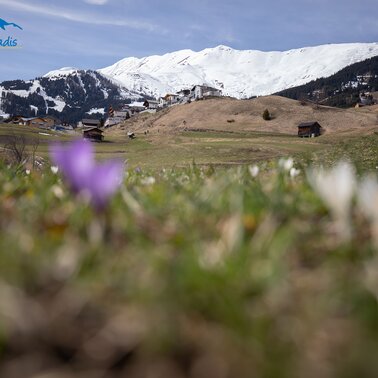 Frühling in Serfaus-Fiss-Ladis in Tirol | © Serfaus-Fiss-Ladis Marketing GmbH |Andreas Kirschner
