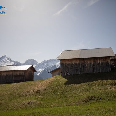 Spring in Serfaus-Fiss-Ladis in Tyrol | © Serfaus-Fiss-Ladis Marketing GmbH |Andreas Kirschner