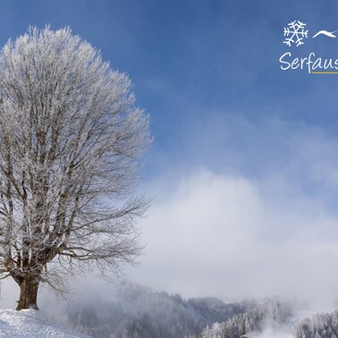 Serfaus-Fiss-Ladis presents its snowy landscape | © Serfaus-Fiss-Ladis Marketing GmbH | Andreas Kirschner