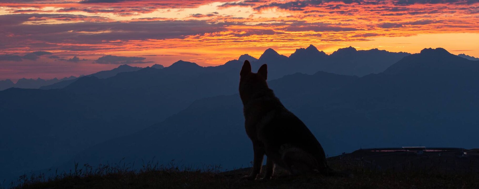 Urlaub mit Hunden in Serfaus-Fiss-Ladis in Tirol | © Andreas Kirschner