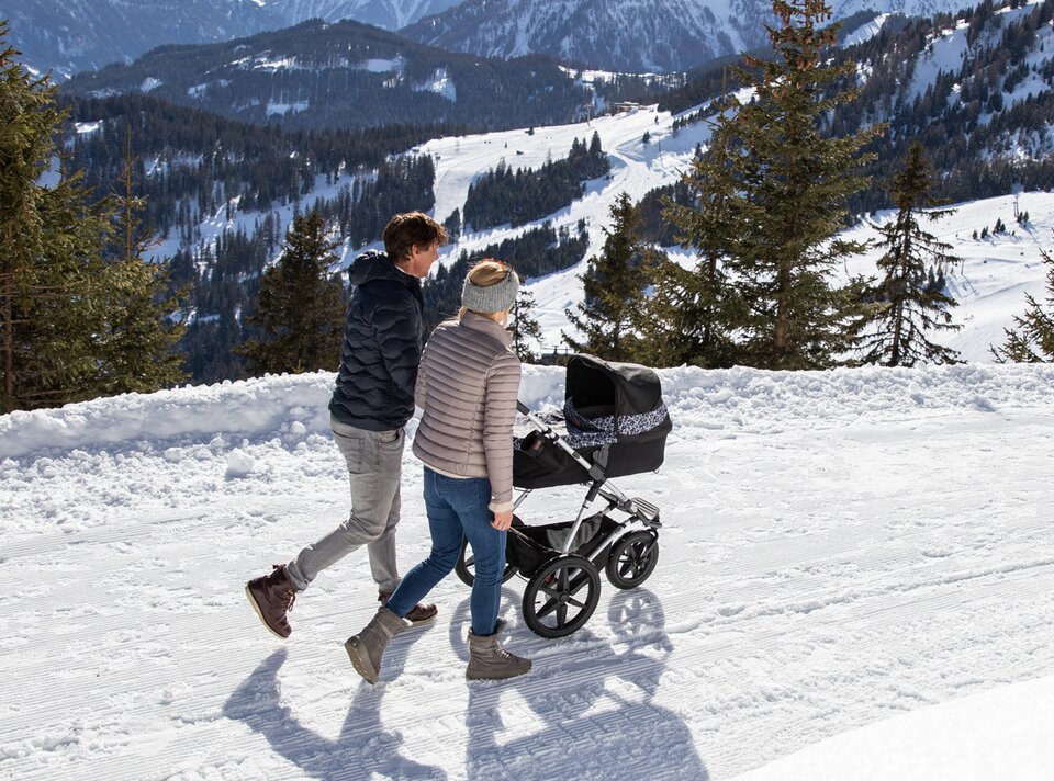 Couple strolling with stroller in snowy mountains.