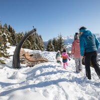 Familie wandert durch den Schnee in den Bergen und genießt die Aussicht.