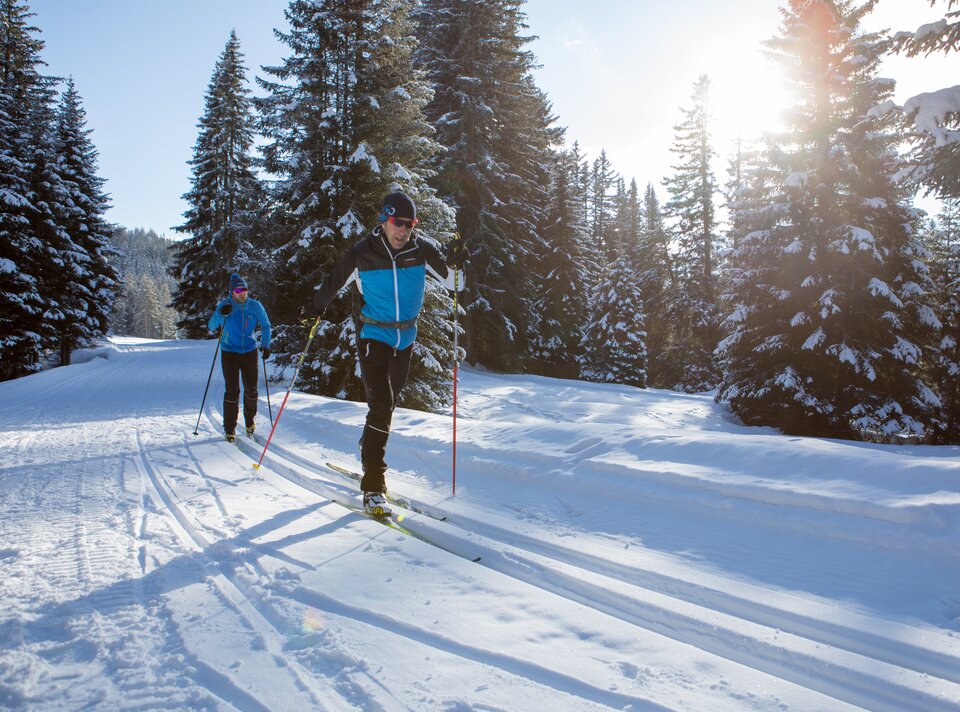 Two men skiing on a snow-covered trail in the woods.