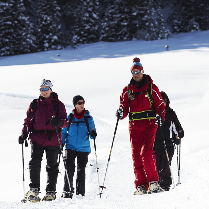 Vier mensen in warme kleren wandelen op een besneeuwd pad.