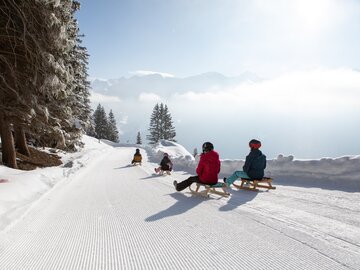 Family enjoying sledding in the snowy mountains.