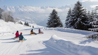 Four children happily sledding down a snowy slope.
