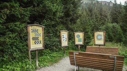 A trail featuring several information boards in a forest.