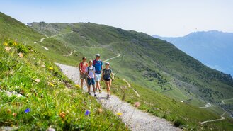 A group of hikers enjoys a mountain trail with blooming meadows.