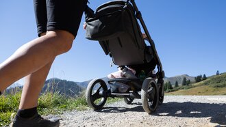 A person pushing a stroller on a path in the mountains.