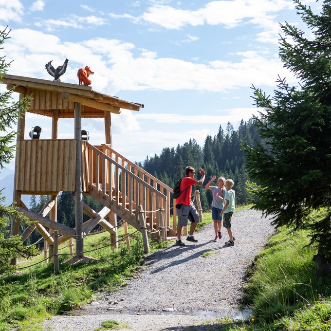 Family enjoying nature, standing on a path by a wooden platform.