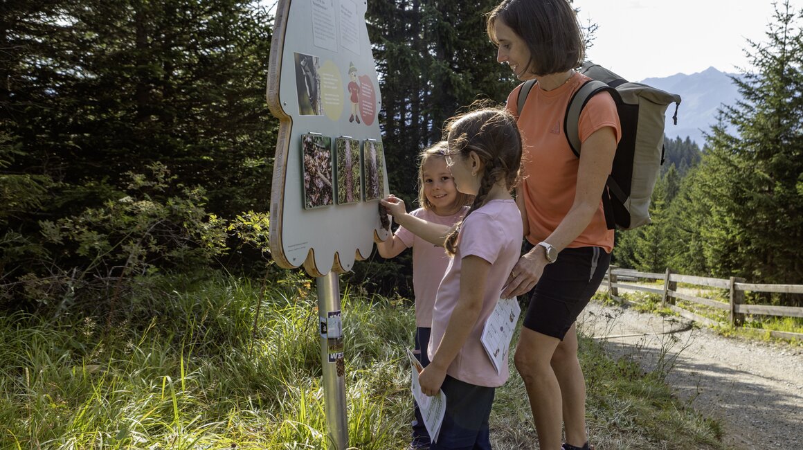 A mother and her two daughters are looking at an information board in the woods.