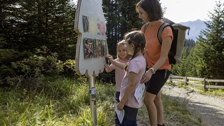 A mother and her two daughters are looking at an information board in the woods.