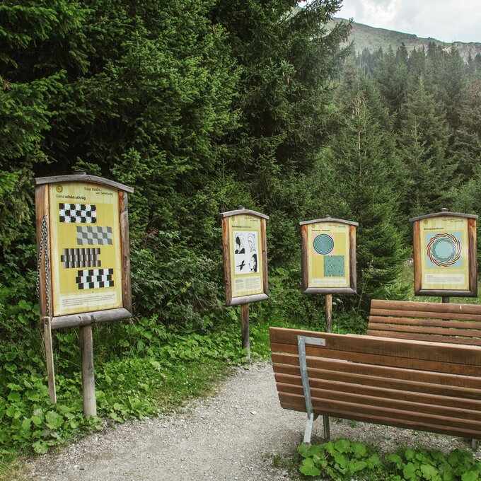 A trail featuring several information boards in a forest.
