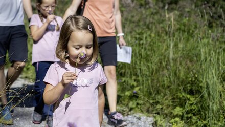 Two children and an adult on a path, one holding a flower.