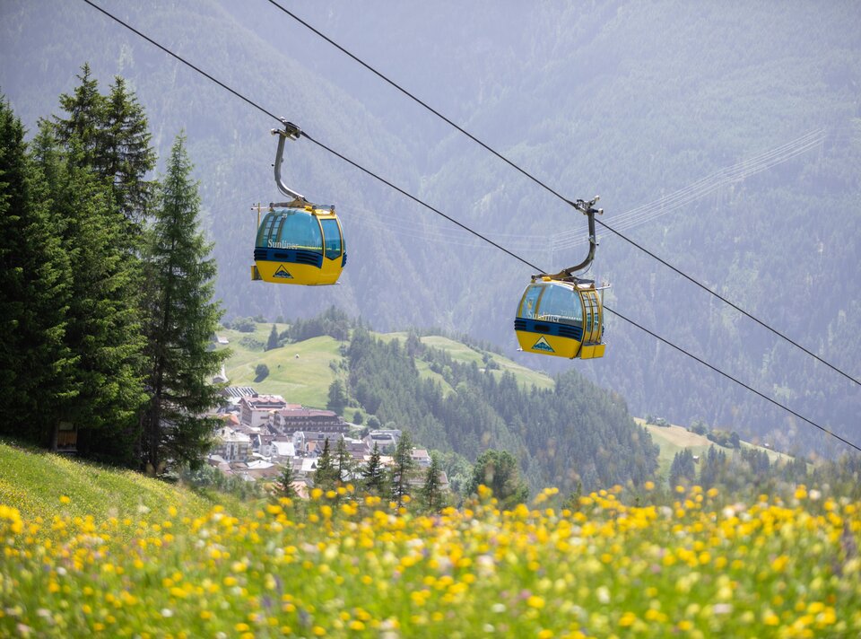 Zwei Seilbahnen schweben über eine blühende Wiese in den Bergen.