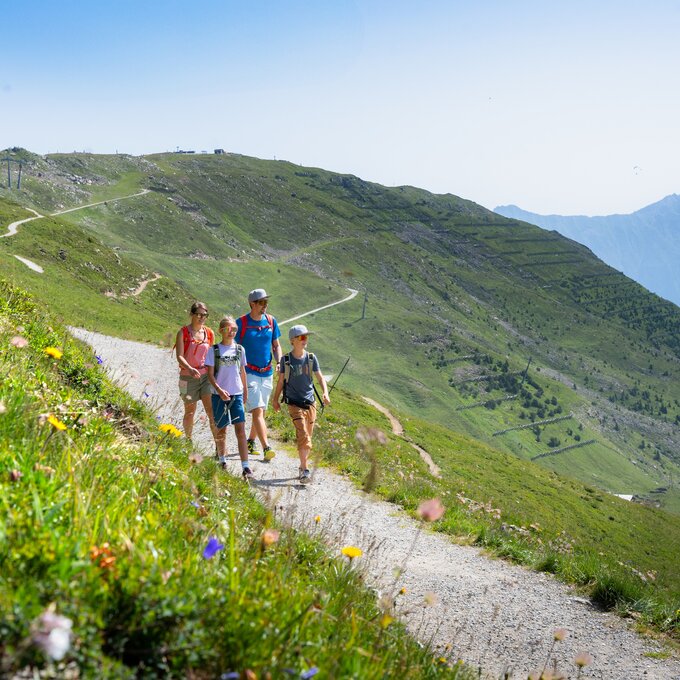 Eine Gruppe von Wanderern genießt eine Bergwanderung mit blühenden Wiesen.