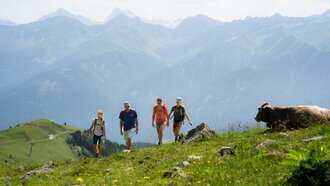 Group of hikers in the mountains surrounded by nature and cattle.