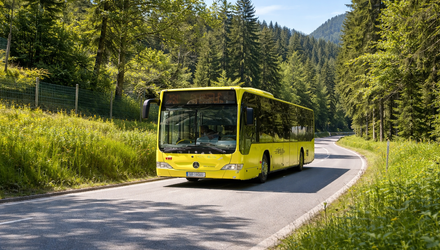 Ein gelber Bus fährt auf einer schönen, grünen Straße in den Bergen.