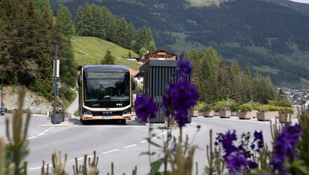 Ein Bus fährt durch eine alpine Gegend mit Blumen im Vordergrund.