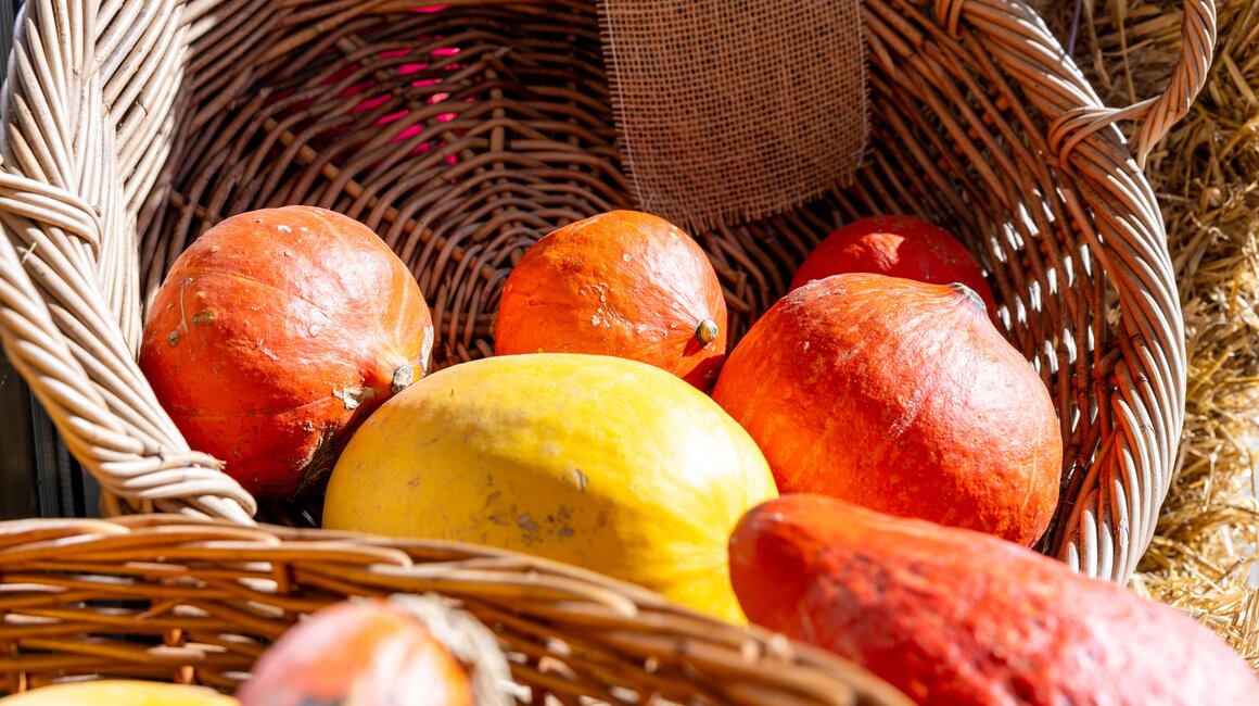 A basket filled with various squash types, including yellow and orange.