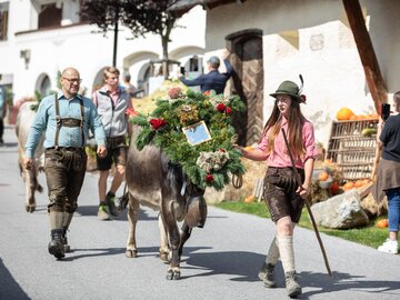 Frau führt einen geschmückten Ochsen beim Almabtrieb durch die Straße.