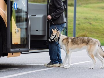 A man stands by a bus with his dog, preparing to board.