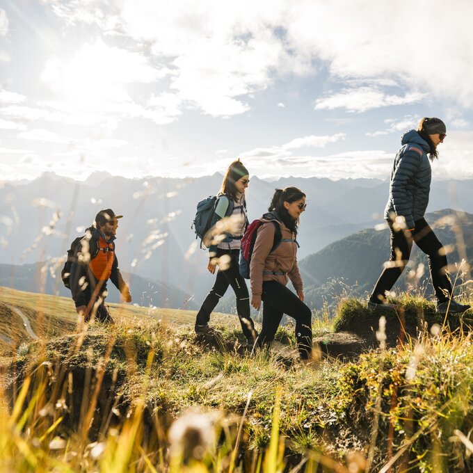 Vier Personen wandern in den Bergen bei sonnigem Wetter.