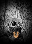 Eine Gruppe von Menschen führt Lamas auf einem Waldweg.