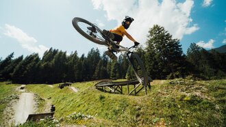 Ein Mountainbiker springt über eine Holzrampe in der Natur.
