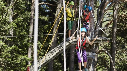 Four kids enjoying a thrilling tree climbing adventure.