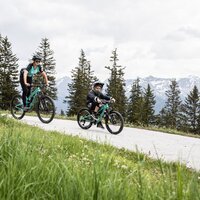 Familie fährt mit Fahrrädern auf einem Bergweg.