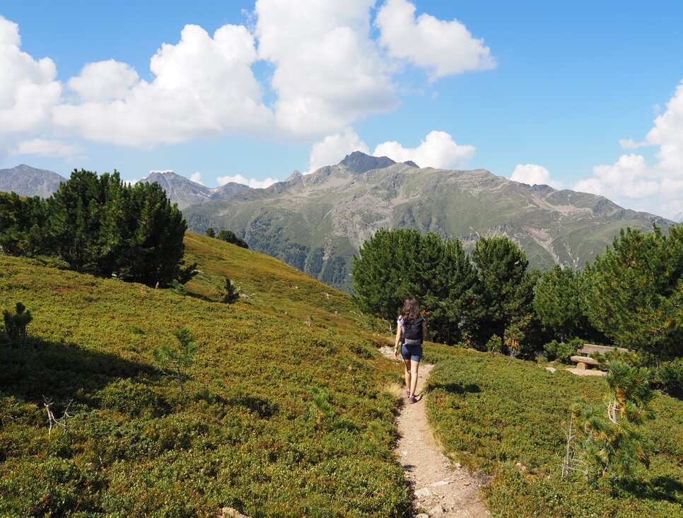 Eine Frau wandert auf einem Bergpfad, umgeben von grünen Büschen und Bergen.