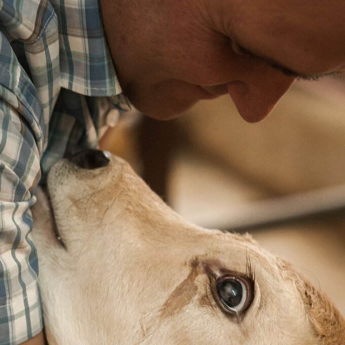 Ein Mann umarmt liebevoll ein Kalb, während sie sich anblicken.