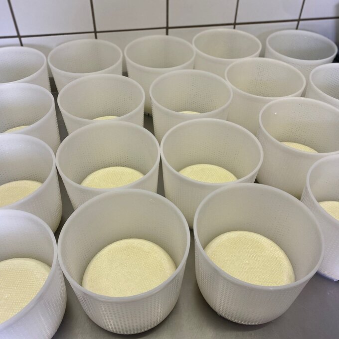 Mehrere Käseformen stehen zur Vorbereitung auf einem Tisch.