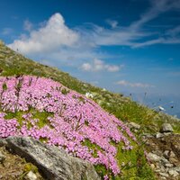 Sattelkopf | © © Serfaus-Fiss-Ladis Marketing GmbH