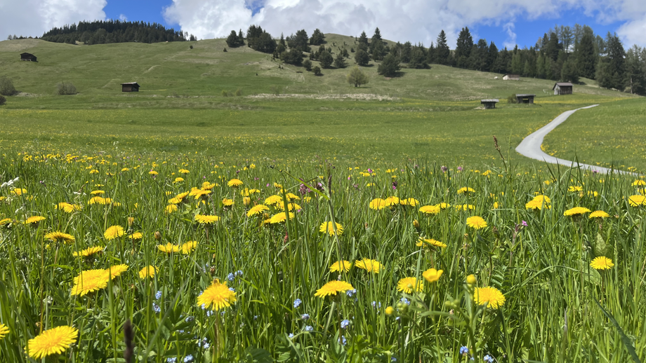 Frühling in Serfaus-Fiss-Ladis | © © Serfaus-Fiss-Ladis Marketing GmbH