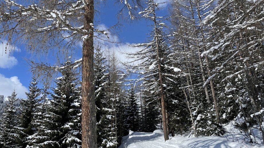 bifangweg_durch_schneelandschaft.jpg | © © Serfaus-Fiss-Ladis Marketing GmbH