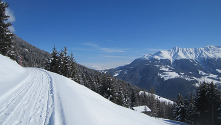 waldweg_schoengampalm1.JPG | © © Serfaus-Fiss-Ladis Marketing GmbH