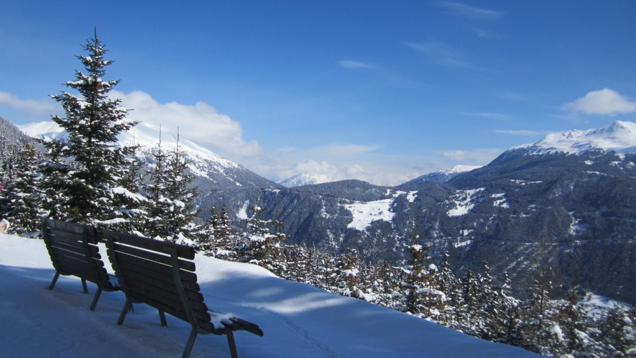 waldweg_schoengampalm5.JPG | © © Serfaus-Fiss-Ladis Marketing GmbH