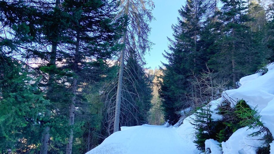 der_verwunschene_weg_winter_11.jpg | © © Serfaus-Fiss-Ladis Marketing GmbH