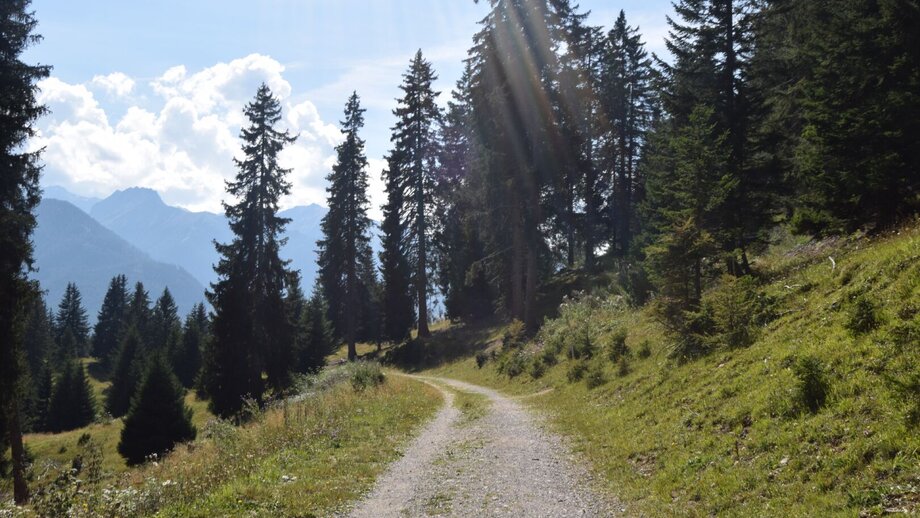 Unterwegs auf dem Familien-Erlebnisweg | © © Serfaus-Fiss-Ladis Marketing GmbH
