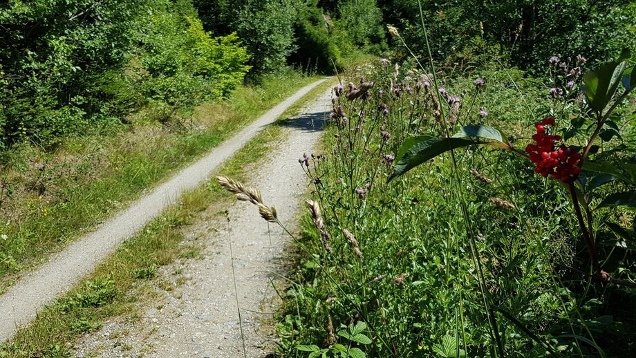 Radroute Familientour Schönegg | © © Serfaus-Fiss-Ladis Marketing GmbH