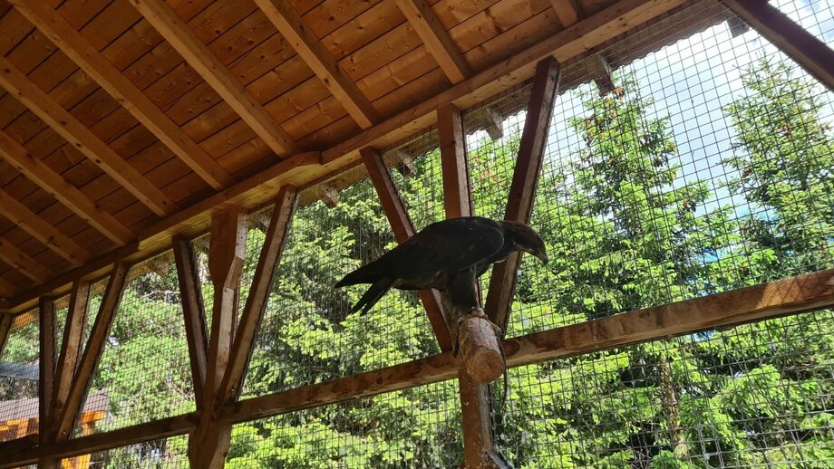 Gehege bei der Frommes Alp | © © Serfaus-Fiss-Ladis Marketing GmbH