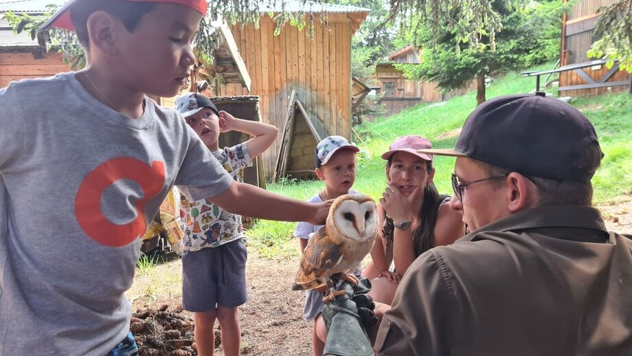 Tiergehege | © © Serfaus-Fiss-Ladis Marketing GmbH