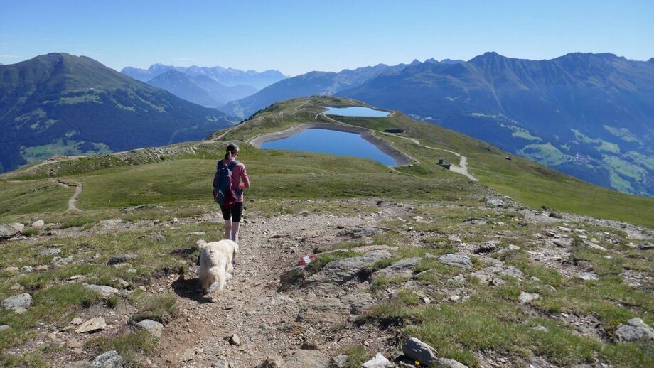 Fisser Joch - Frommes - Kuh Alm - Fiss | © © Serfaus-Fiss-Ladis Marketing GmbH