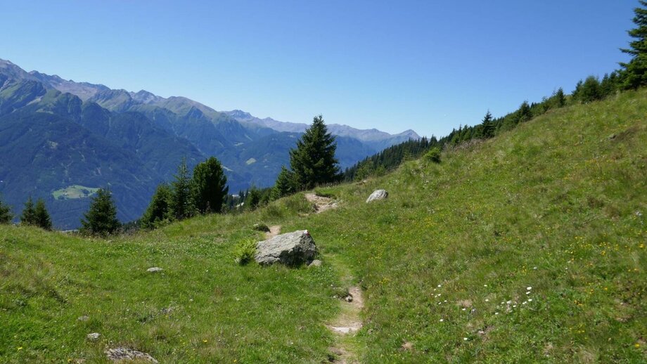 Fisser Joch - Frommes - Kuh Alm - Fiss | © © Serfaus-Fiss-Ladis Marketing GmbH