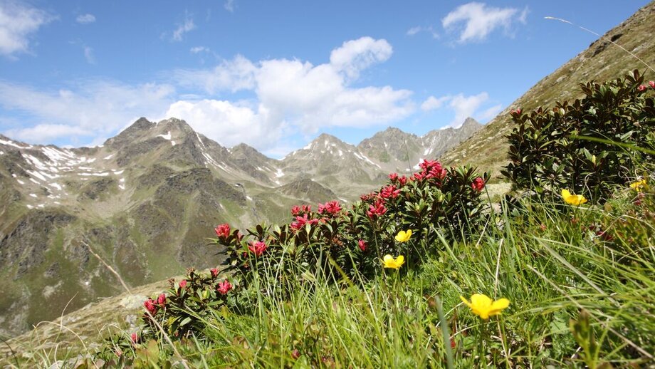 Wanderung durch das Urgtal | © © Serfaus-Fiss-Ladis Marketing GmbH