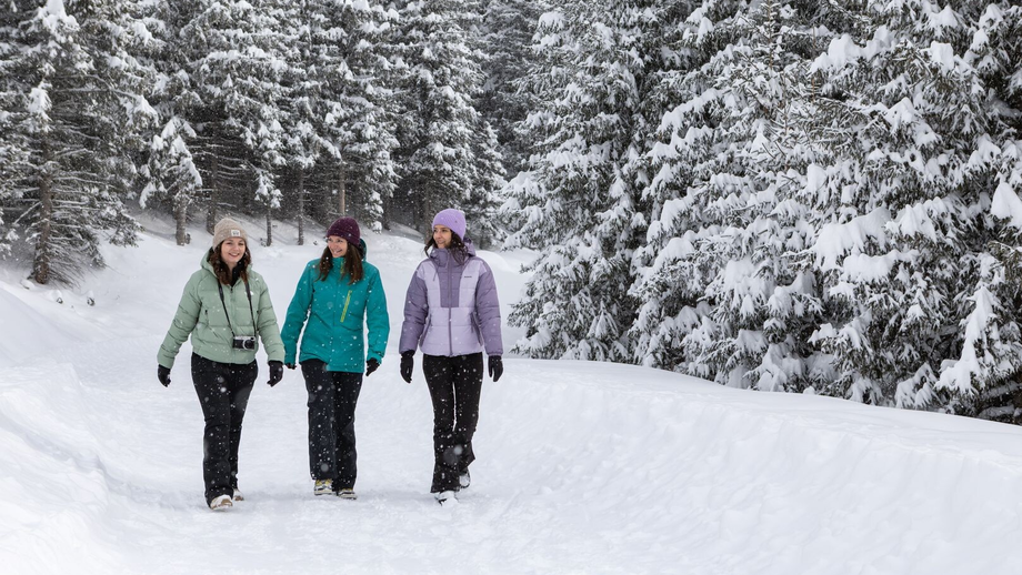 Winterwandern (c) Serfaus-Fiss-Ladis Marketing GmbH_Andreas Kirschner-2.JPG | © Andreas Kirschner
andi@webart.at